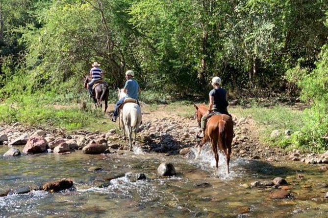 Jungle HorseBack Adventure to Las Palmas Waterfall All Included - A quieter ride beyond Puerto Vallarta’s hotel zone