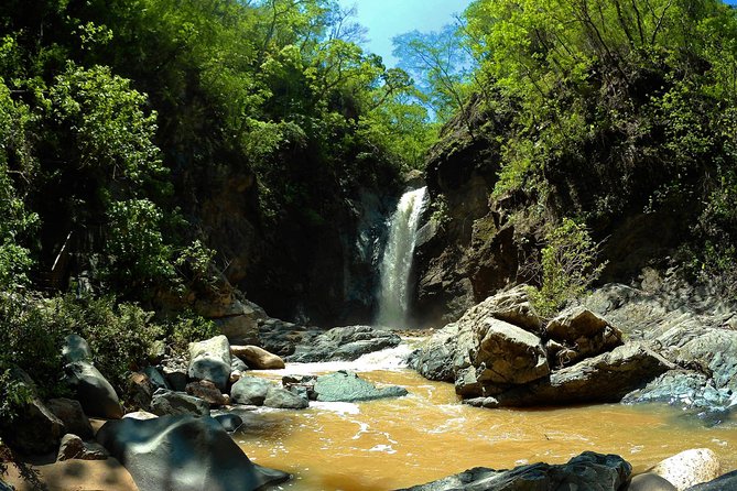 Jungle HorseBack Adventure to Las Palmas Waterfall All Included - Riding beside the Cuale River