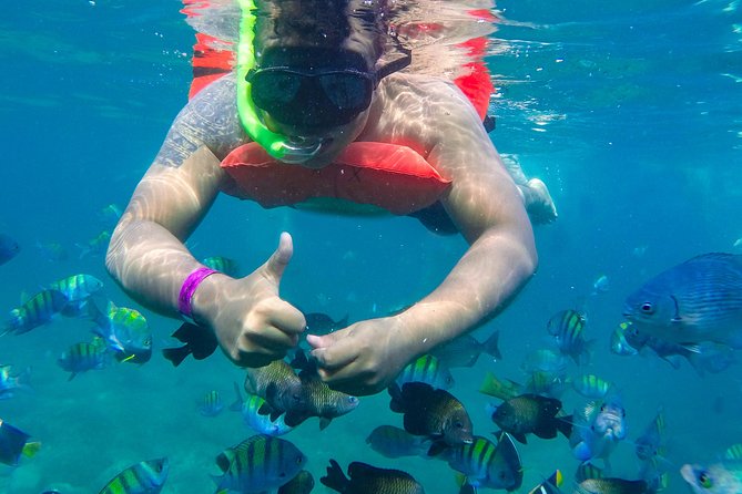 Las Caletas Beach & Adventure Park with buffet lunch and open bar - How to organize four hours without feeling rushed