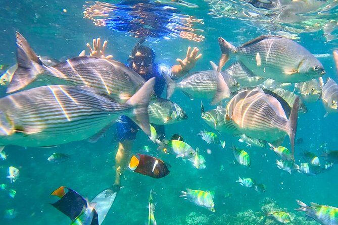 Los Arcos 5 islands Snorkeling Cliff Jumping and Hidden Beach - The trip starts in Zona Romantica