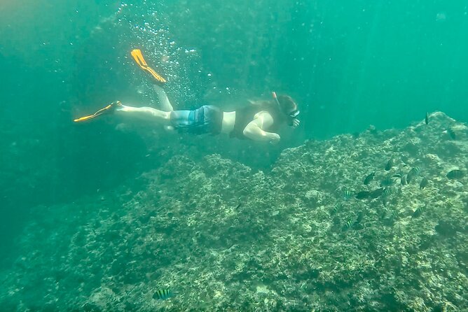 Los Arcos Snorkeling & 5 Island Adventure - Mismaloya Beach is more useful than luxurious