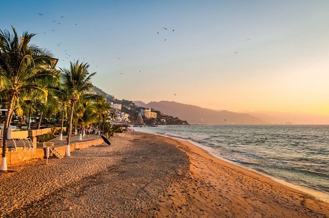 Love on the Boardwalk in Puerto Vallarta - Private - What $372 Per Person Really Buys