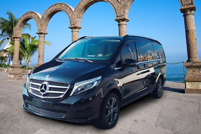 Luxury Private VIP Airport-Hotel Transportation - Families, accessibility, and practical limits