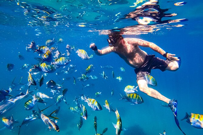 Luxury Yacht & Snorkel with All inclusive Open bar and lunch - Who will enjoy this trip most