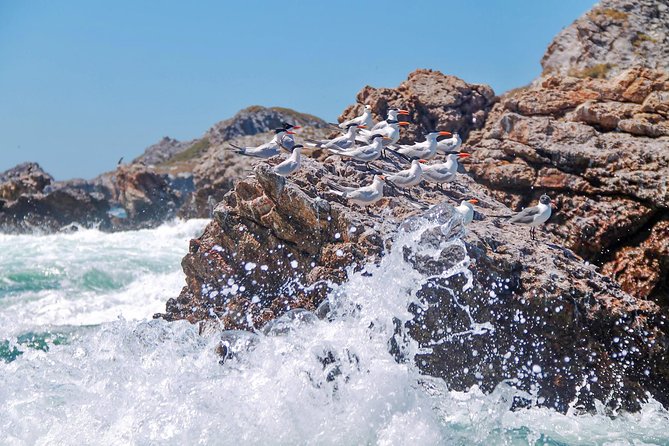 Marietas Hidden beach trip from Puerto Vallarta - Does the $169 price offer good value?