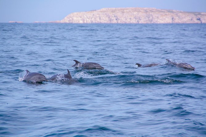 Marietas Hidden beach trip from Puerto Vallarta - Weather, safety, and the hard questions to ask