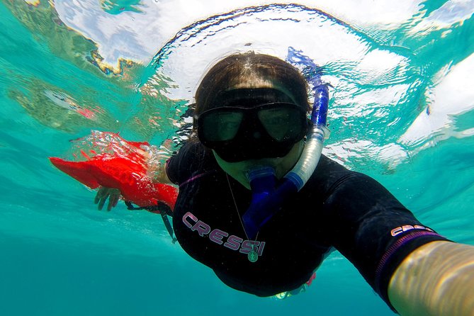 Marietas Islands snorkeling & Hidden beach (w/ restrictions) - Starting at Marina Vallarta