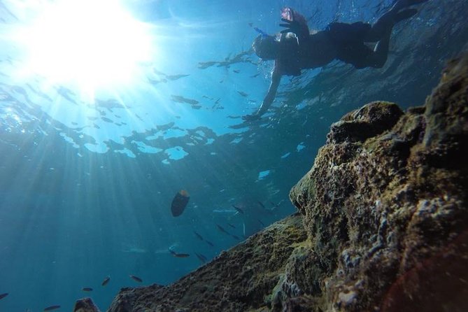 Marietas Islands Snorkeling Tour - Guides, group size, and the pace of the day
