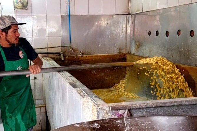 Market Visit and Mexican Cooking Class - Fresh tortillas at a neighborhood tortilleria