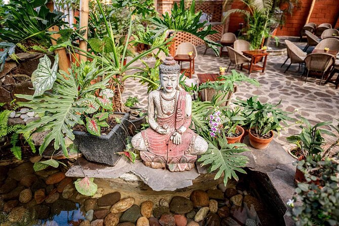 Mexican Wine Tasting Experience - Mexican wine in a Puerto Vallarta garden