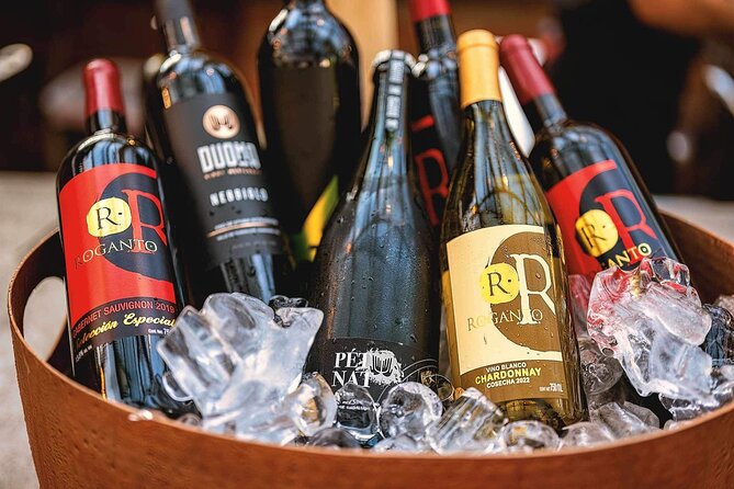 Mexican Wine Tasting Experience - The garden changes the pace