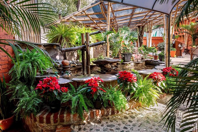 Mexican Wine Tasting Experience - Is $50 a fair price?