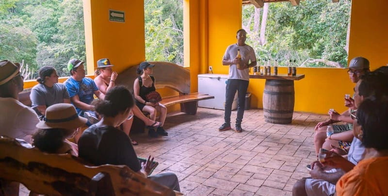 Mexico: Puerto Vallarta City Tour - Markets, Mexican handicrafts, and the silver stop