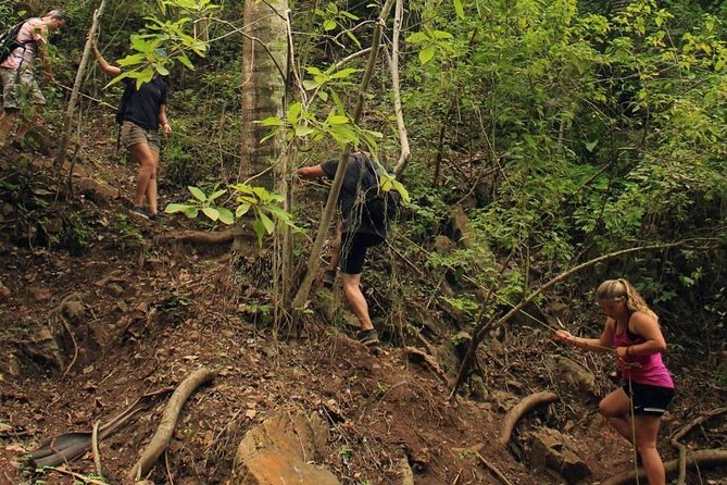 Monkey Mountain Jungle Hike Adventure - Why the guides matter on this particular hike