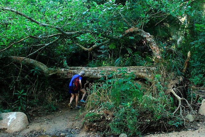 Monkey Mountain Jungle Hike Adventure - What the $85 price really covers
