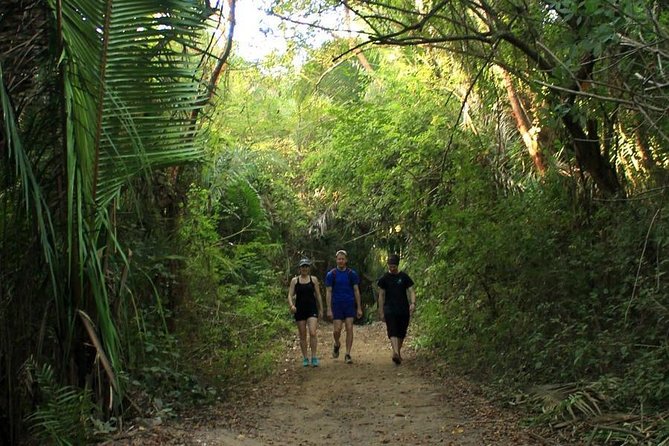 Monkey Mountain Jungle Hike Adventure - Who will enjoy Monkey Mountain most