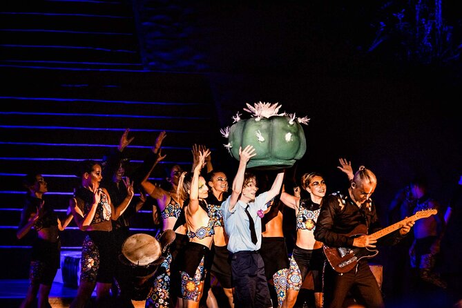 Night Rhythms - Alma - Show and Dinner in Puerto Vallarta - What Alma Actually Offers on Stage