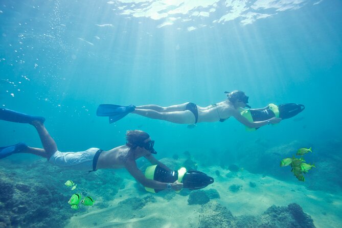 Ocean Mania & water park experience in Puerto Vallarta - Sea lions, parasailing, and the strongest opening