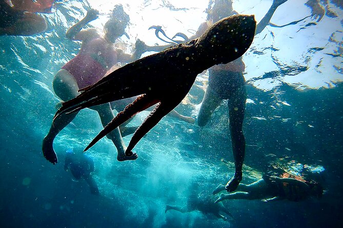 Paddleboard and Snorkeling Experience in Los Arcos - Passing through the Los Arcos caves