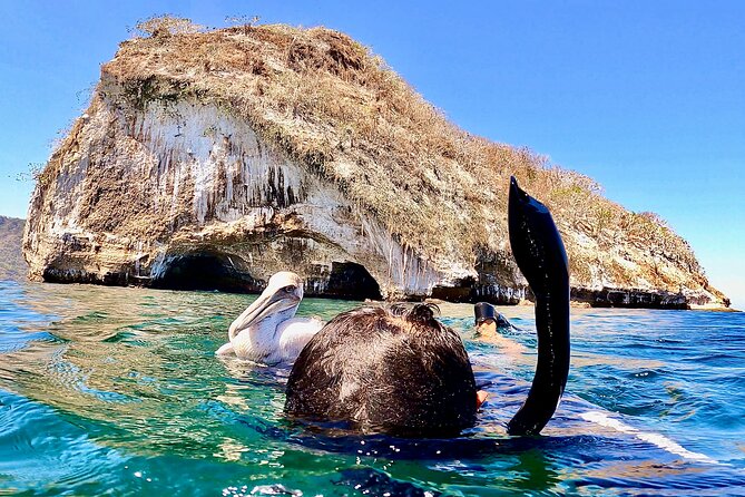 Paddleboard and Snorkeling Experience in Los Arcos - A short rest, snack, and the return paddle