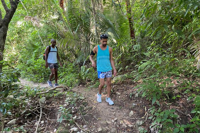 Palo María Waterfalls Hike Half-Day Tour - Waterfalls, pools, and Pacific views reward the effort
