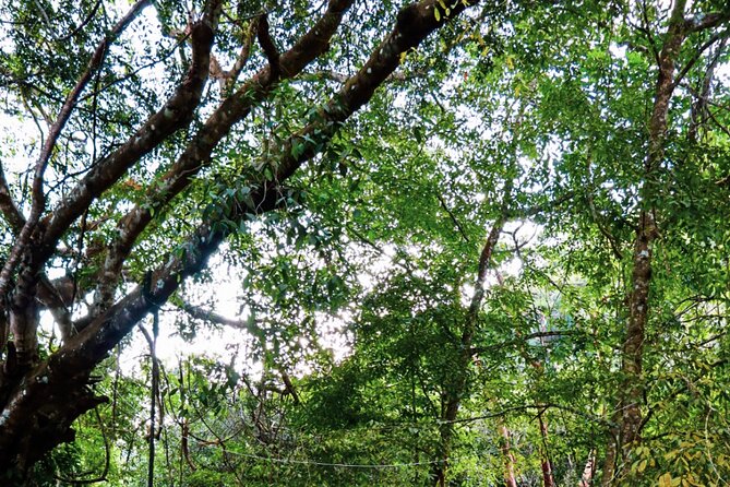 Private 4 hour Hiking Adventure + Breakfast in Nogalito Ecopark - What the four-hour outing feels like