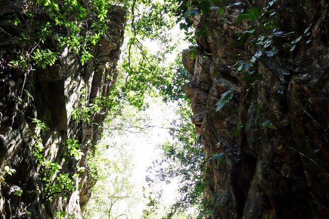 Private 4 hour Hiking Adventure + Breakfast in Nogalito Ecopark - What families should know