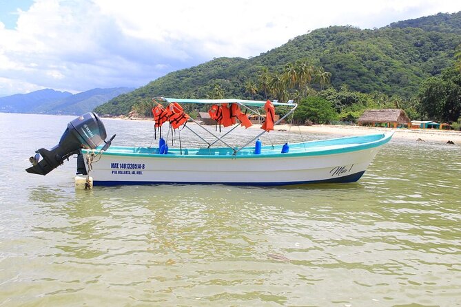 Private Boat Tour to Yelapa and Majahuitas Snorkel (up to 7 guests) - Is $550 a good value?