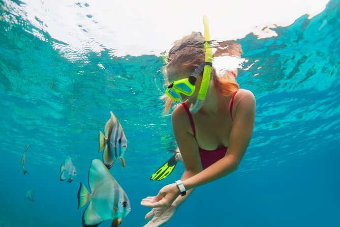 Private Boat Tour to Yelapa and Majahuitas Snorkel (up to 7 guests) - Who will enjoy this boat tour most?