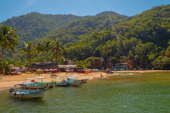 Private Boat Tour to Yelapa with Snorkeling and Waterfall Hike - Why the private boat changes the day