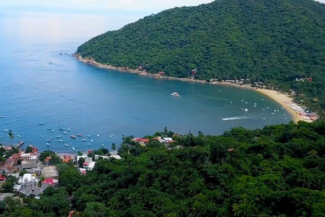 Private Boat Tour to Yelapa with Snorkeling and Waterfall Hike - Who will enjoy this half-day outing