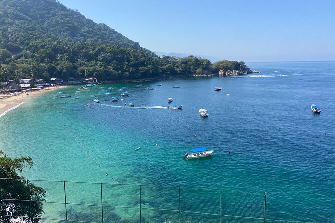 Private City & Rain Forest Xperience in Vallarta - Los Arcos de Mismaloya: a quick nature photo stop