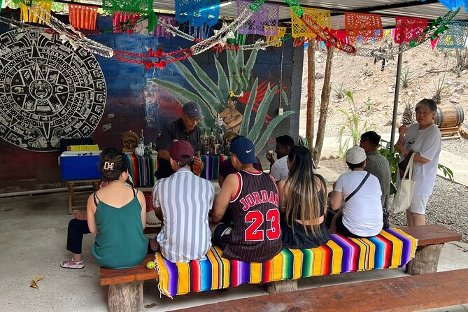Private City Tour & Tequila Tasting - Why this tour works as a Puerto Vallarta overview