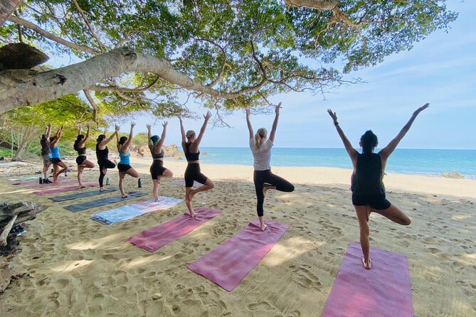Private Customized Group Yoga Class with Wanderlust Sayulita - What the class may feel like