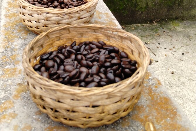Private day trip to Magical San Sebastián del Oeste. - Coffee from Plantation to Factory