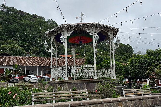 Private Experience to San Sebastián del Oeste - Coffee, chocolate, and a look at local production