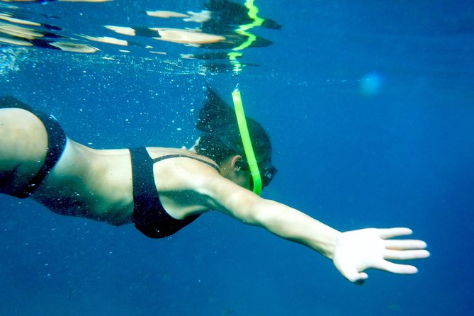 Private Los Arcos Snorkel and Beach Tour from Puerto Vallarta - Key points to know before you book