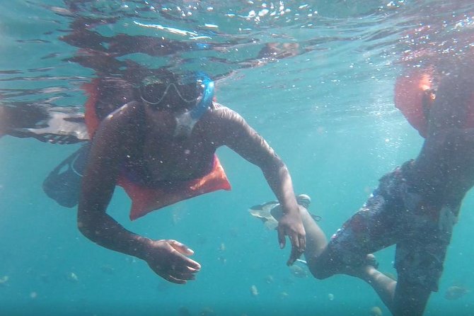 Private Los Arcos snorkeling - Who will get the most from this outing