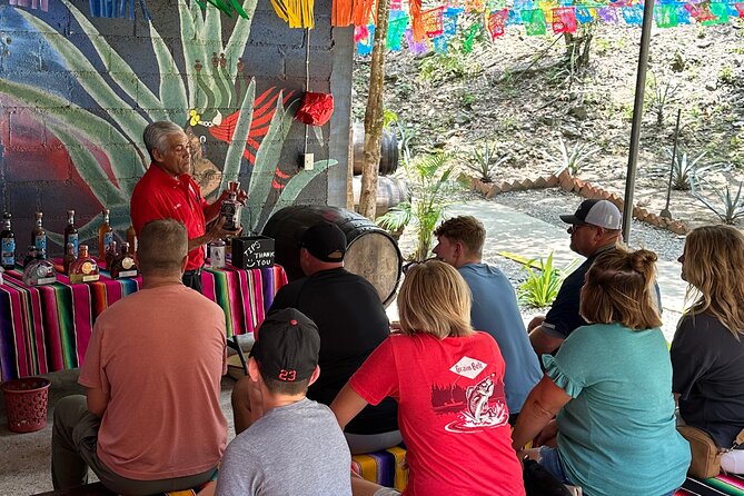 Private Puerto Vallarta Journey Through the Heart of the City - Conchas Chinas and the south-coast view