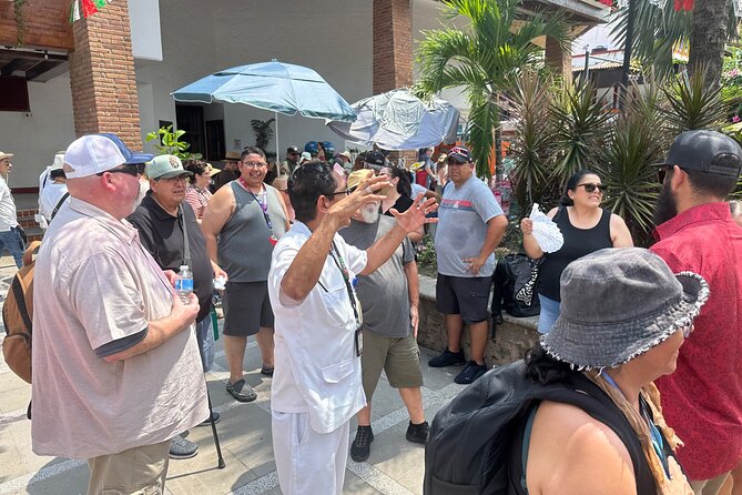 Private Puerto Vallarta Journey Through the Heart of the City - What the private van adds