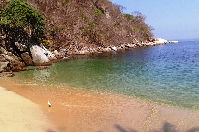 Private Snorkeling Adventure: Los Arcos & Colomitos Beach - Value, practical costs, and who should book