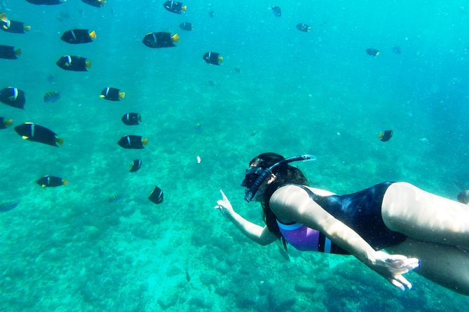 Private Snorkeling Adventure: Los Arcos & Colomitos Beach - The motorboat ride to Los Arcos