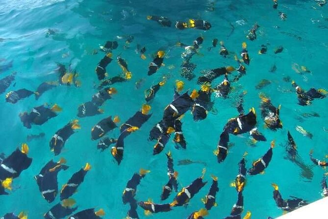 Private Snorkeling Tour to Los Arcos - Los Arcos: rocks, arches, and changing water