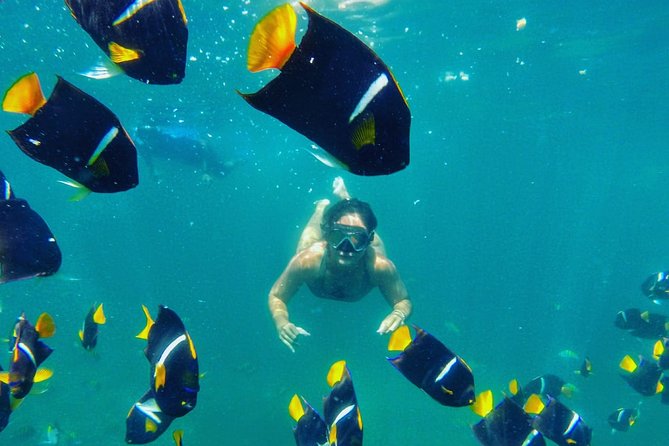 Private Stand Up Paddle Experience in Los Arcos Jalisco - Why Los Arcos makes this four-hour outing worthwhile
