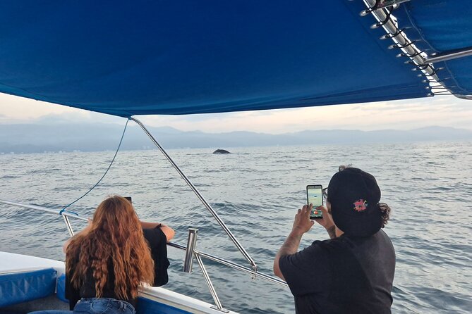 Private Tour 3 Hours of Whale Watching - Captains Luis and Manuel