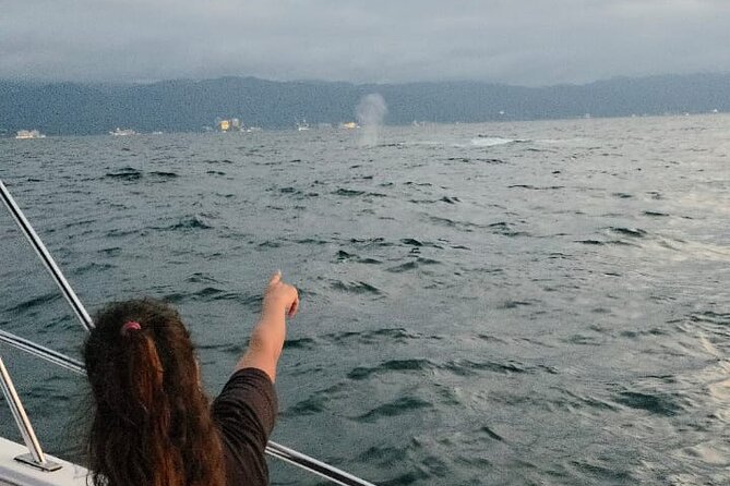 Private Tour 3 Hours of Whale Watching - Timing at Los Peines dock