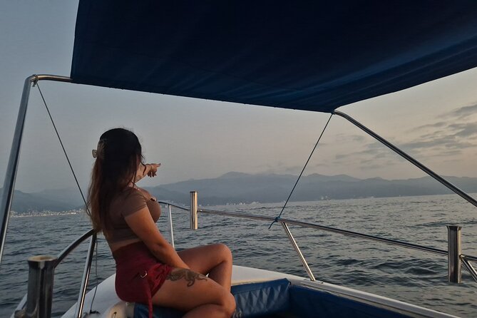 Private Tour 3 Hours of Whale Watching - A private boat for up to eight people