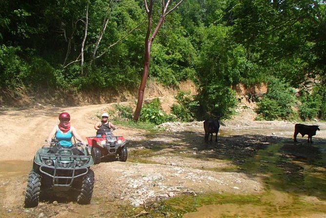 Private Tour: ATV SIERRA MADRE rivers with Tequila Tasting - The ranch stop, lunch, and tequila
