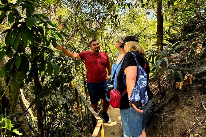 Private Tour: Botanical Garden & Petroglyphs - What the $310 price really includes
