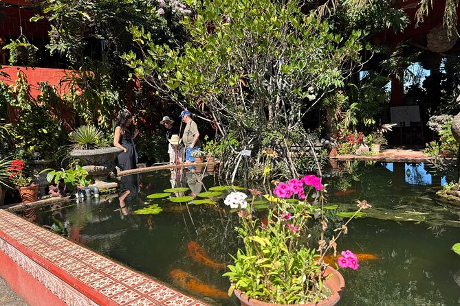 Private Tour: Botanical Garden & Petroglyphs - Starting among orchids at the Botanical Garden